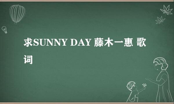 求SUNNY DAY 藤木一惠 歌词