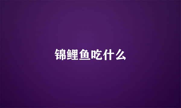 锦鲤鱼吃什么