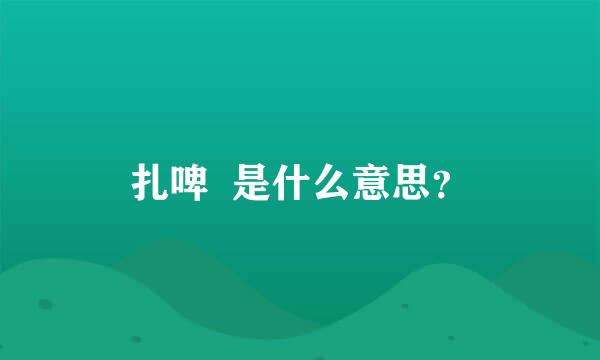 扎啤  是什么意思？