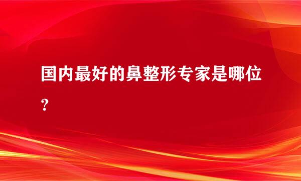 国内最好的鼻整形专家是哪位？