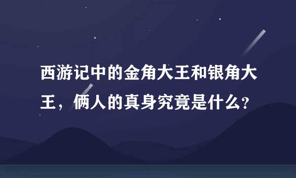 西游记中的金角大王和银角大王，俩人的真身究竟是什么？