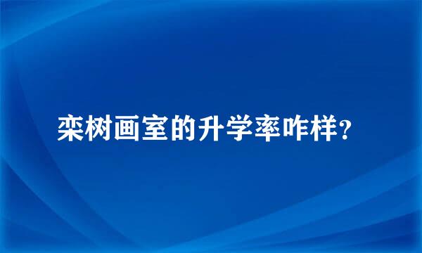 栾树画室的升学率咋样？