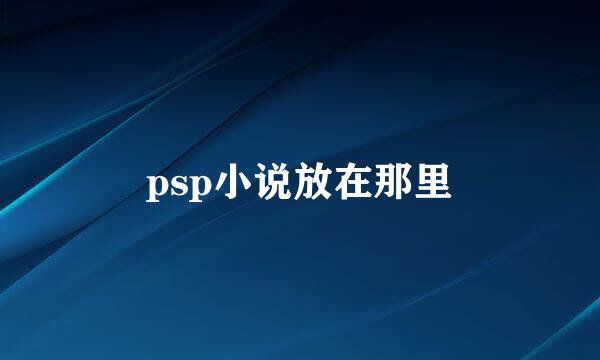 psp小说放在那里