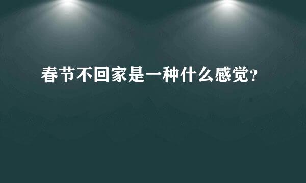 春节不回家是一种什么感觉？