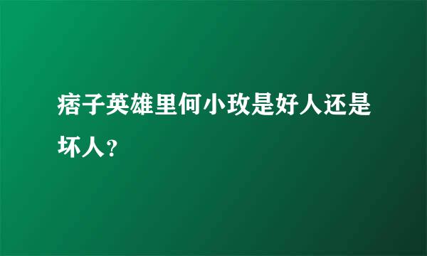 痞子英雄里何小玫是好人还是坏人？