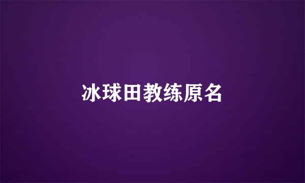 冰球田教练原名