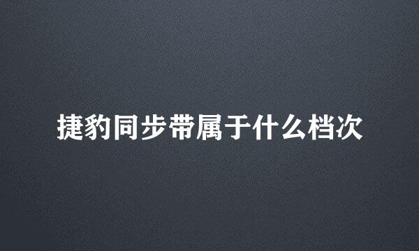 捷豹同步带属于什么档次