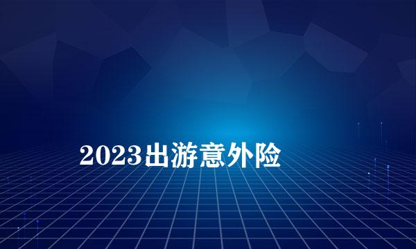 
2023出游意外险
