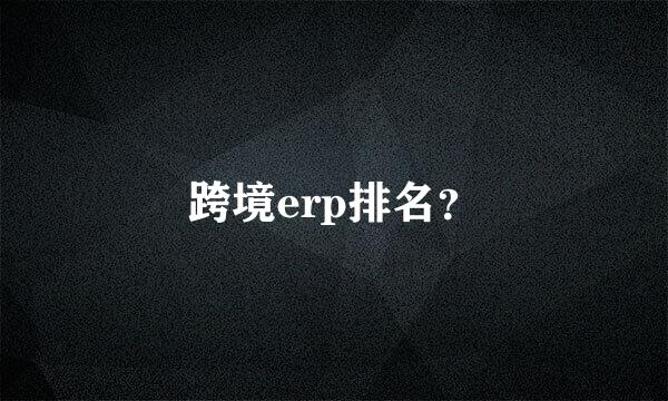 跨境erp排名？