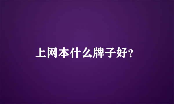 上网本什么牌子好？