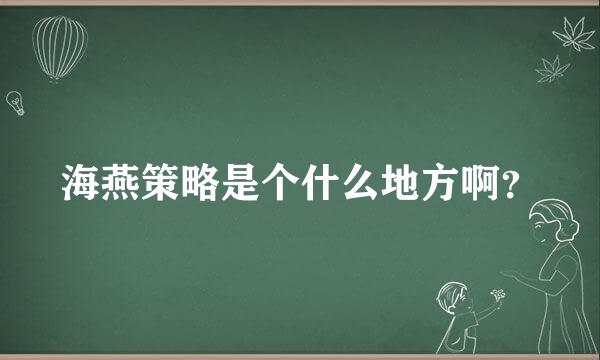 海燕策略是个什么地方啊？