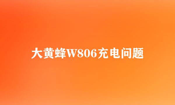 大黄蜂W806充电问题