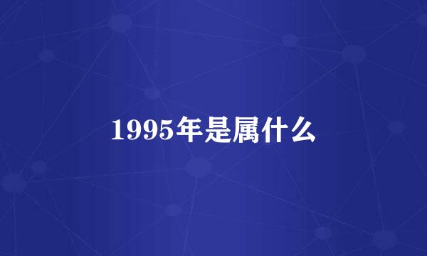 1995年是属什么