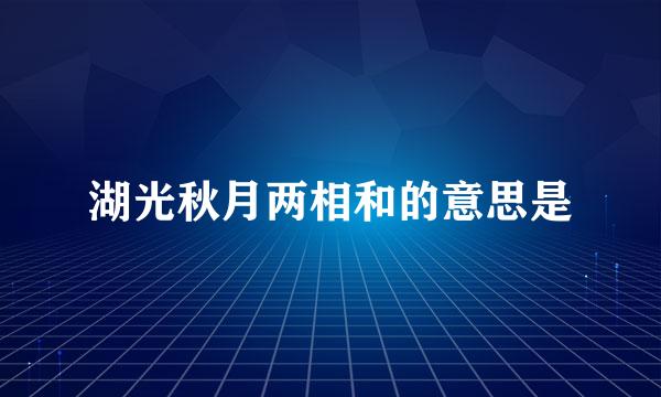 湖光秋月两相和的意思是