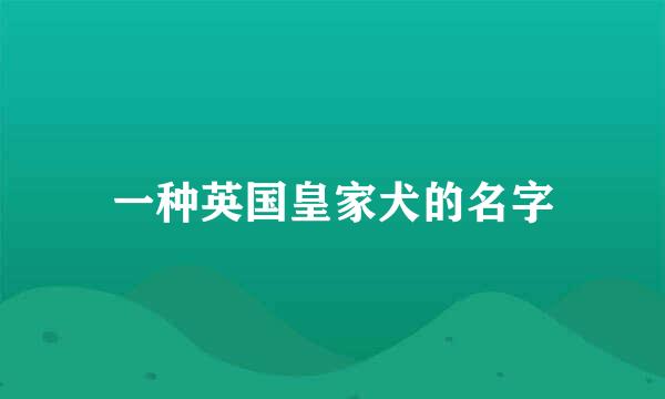 一种英国皇家犬的名字