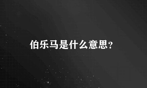 伯乐马是什么意思？