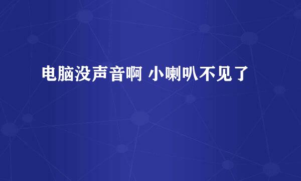 电脑没声音啊 小喇叭不见了