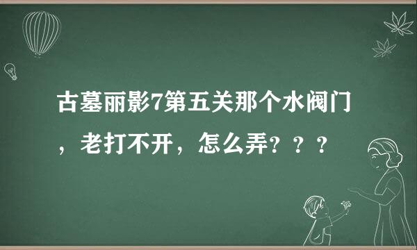 古墓丽影7第五关那个水阀门，老打不开，怎么弄？？？