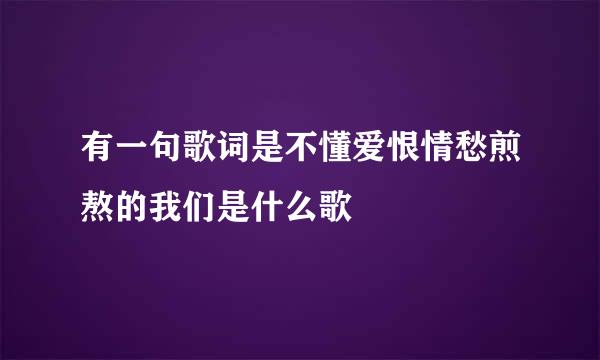 有一句歌词是不懂爱恨情愁煎熬的我们是什么歌