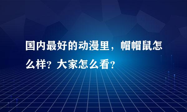 国内最好的动漫里，帽帽鼠怎么样？大家怎么看？