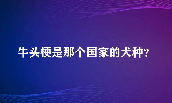 牛头梗是那个国家的犬种？