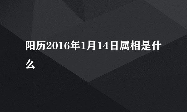 阳历2016年1月14日属相是什么