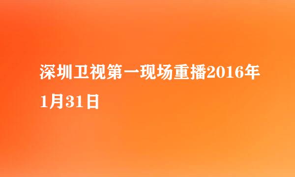 深圳卫视第一现场重播2016年1月31日