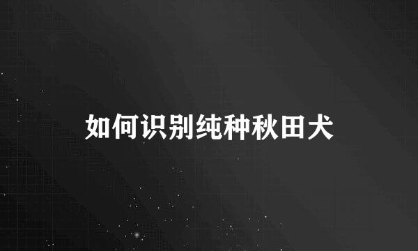 如何识别纯种秋田犬