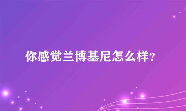 你感觉兰博基尼怎么样？