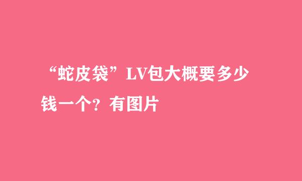 “蛇皮袋”LV包大概要多少钱一个？有图片