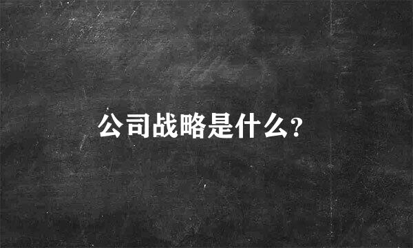 公司战略是什么？