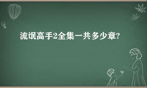 流氓高手2全集一共多少章?