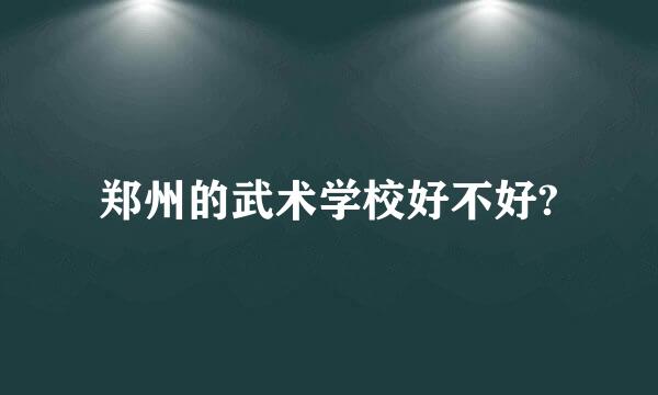 郑州的武术学校好不好?