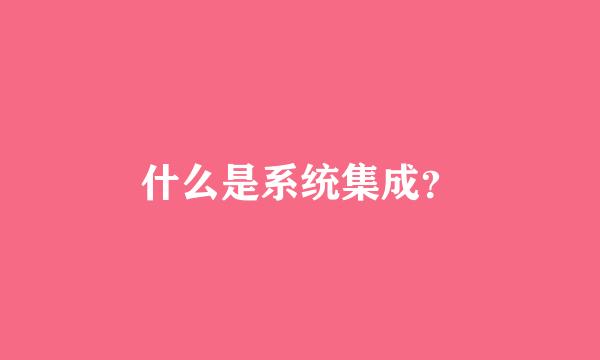 什么是系统集成？