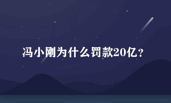 冯小刚为什么罚款20亿？