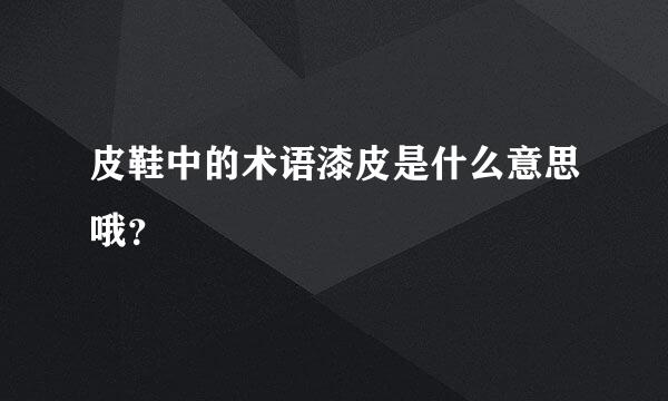 皮鞋中的术语漆皮是什么意思哦？