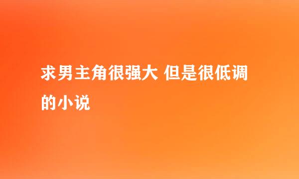 求男主角很强大 但是很低调的小说