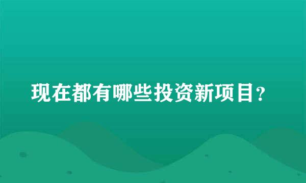 现在都有哪些投资新项目？