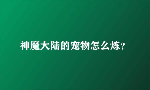 神魔大陆的宠物怎么炼？