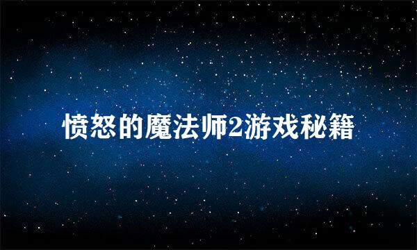 愤怒的魔法师2游戏秘籍