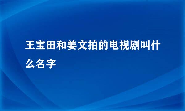 王宝田和姜文拍的电视剧叫什么名字