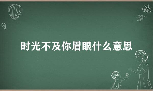 时光不及你眉眼什么意思