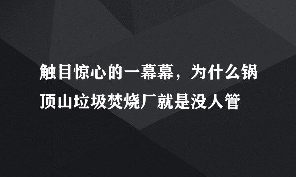 触目惊心的一幕幕，为什么锅顶山垃圾焚烧厂就是没人管