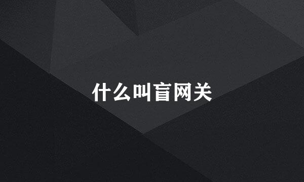 什么叫盲网关