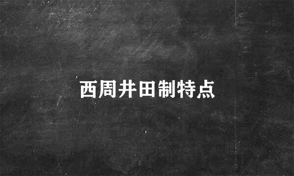 西周井田制特点