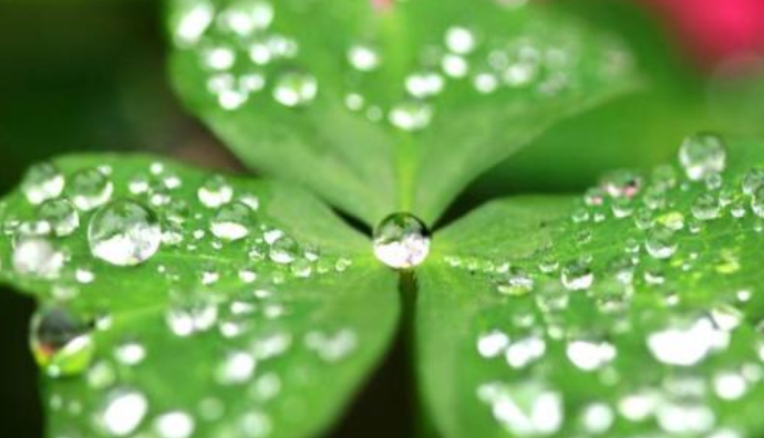 春雨的什么填空形容词