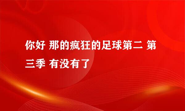 你好 那的疯狂的足球第二 第三季 有没有了