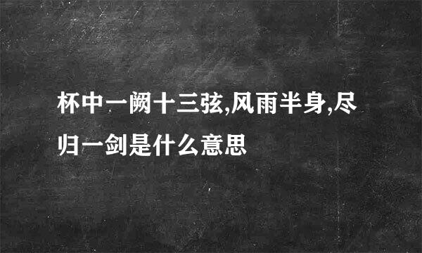 杯中一阙十三弦,风雨半身,尽归一剑是什么意思