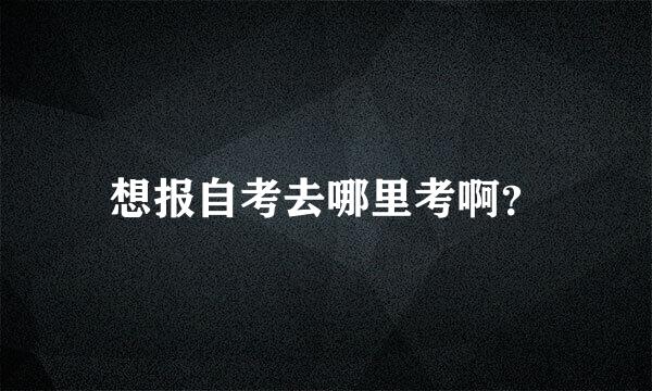 想报自考去哪里考啊？