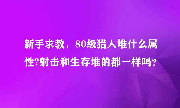 新手求教，80级猎人堆什么属性?射击和生存堆的都一样吗？